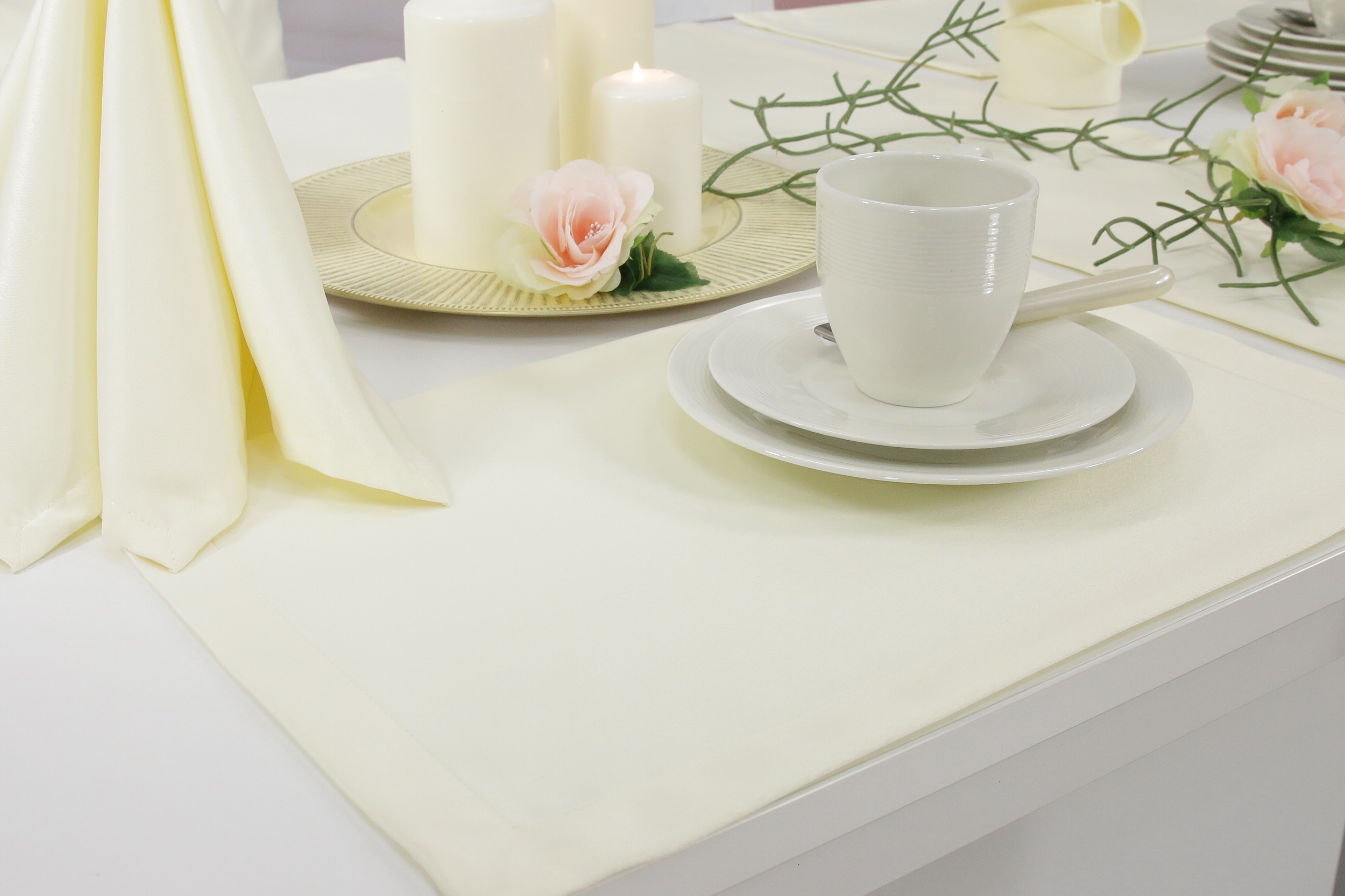 Tischsets & Platzsets CHAMPAGNER | TiDeko® Tischdecken-Shop.de. Tischdecken  Markenqualität